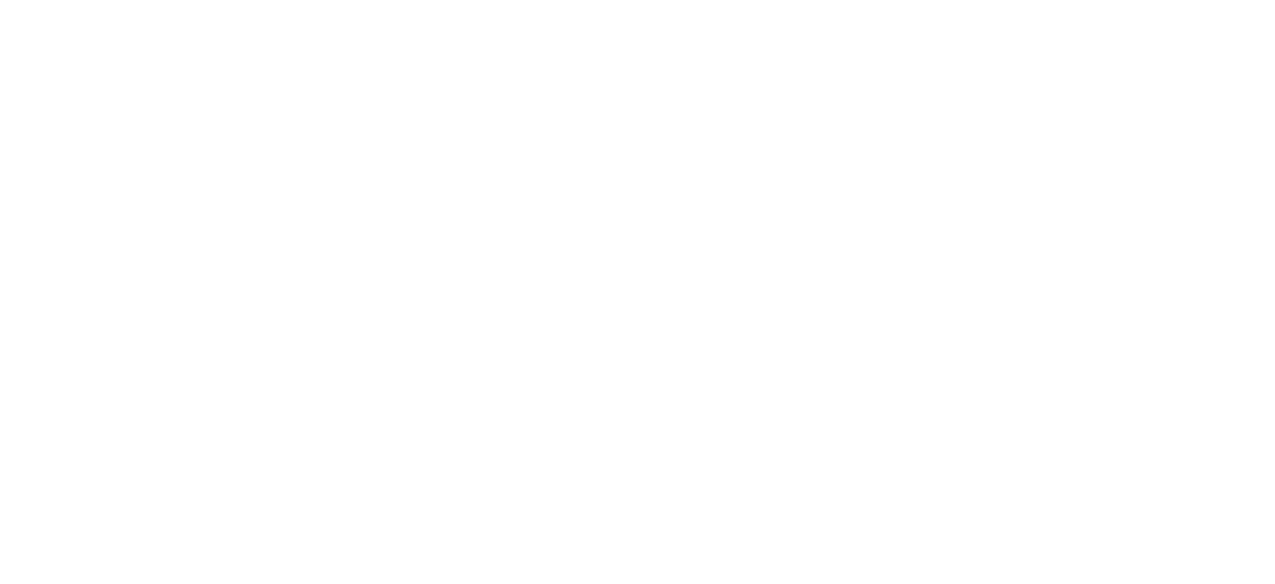 Divine Savages white flamingo leopard full company logo